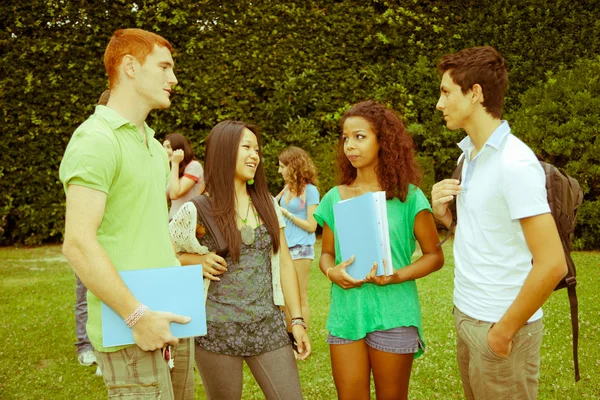 Multicultural Group of College Students Stock Photo