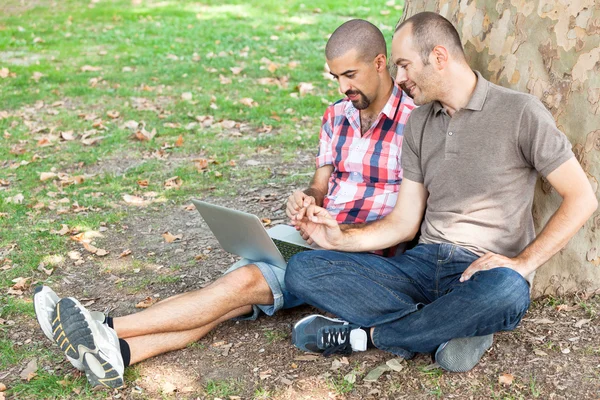 Twee mannen die werken met computer in park — Stockfoto