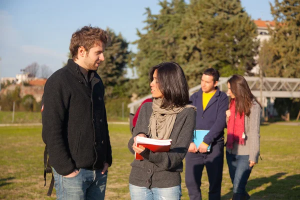 Estudiantes universitarios caminando y hablando en el parque — Foto de Stock