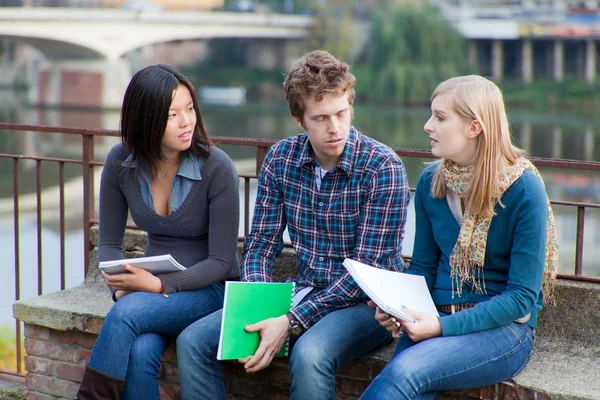 Multikulturelle Hochschulstudenten — Stockfoto