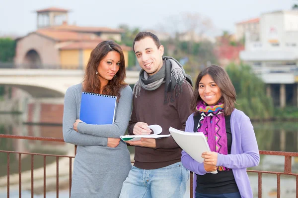 Multicultural College Students — Stock Photo, Image