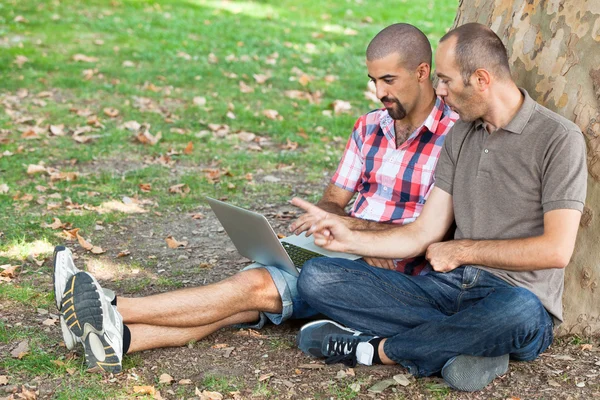 Két férfi dolgozik számítógéppel park — Stock Fotó