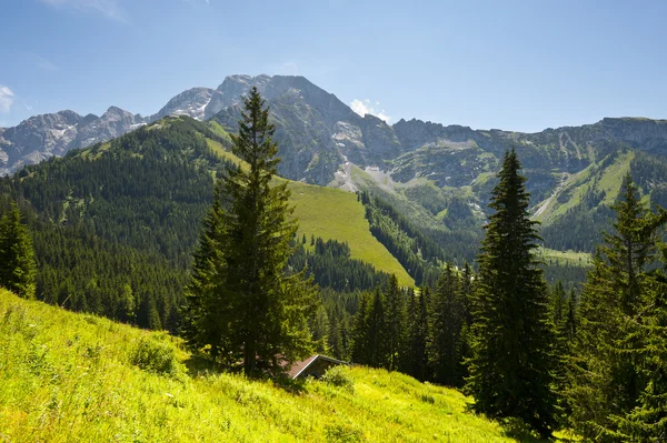 Bayerische Alpen — Stockfoto