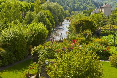 Fransız alps