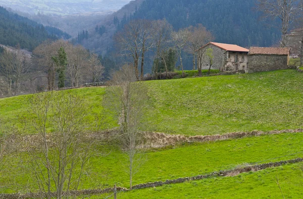 Eski çiftlik evleri — Stok fotoğraf