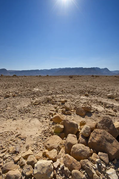 イスラエルの砂漠の正午 — ストック写真