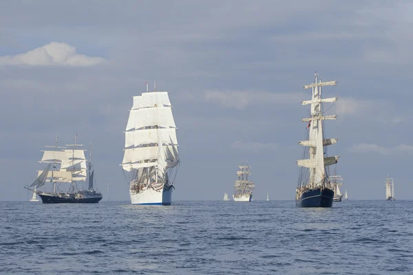 Parade of sail — Stock Photo, Image