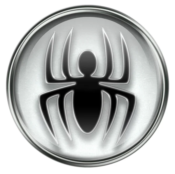 Virus icon grey — Stock Photo, Image