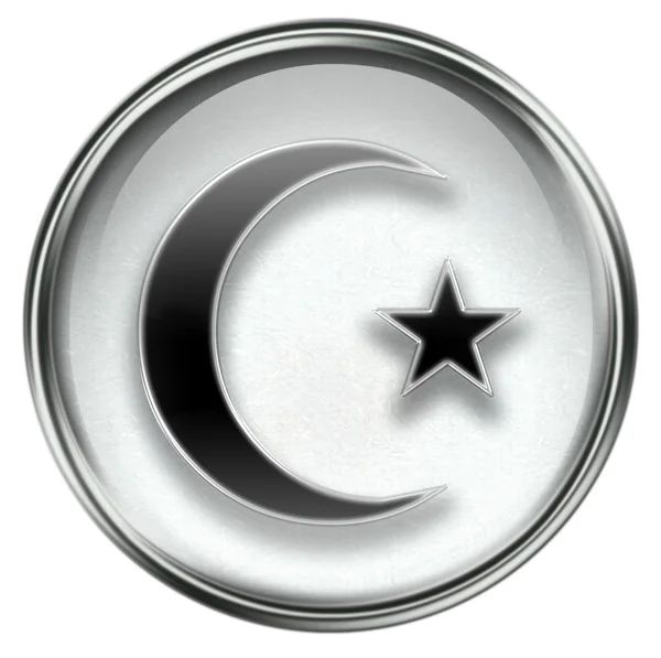 Moon and star icon grey — Stock Photo, Image