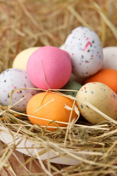 Huevos de Pascua en un nido de aves —  Fotos de Stock