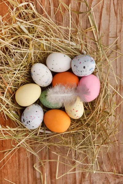 Πασχαλινά αυγά σε φωλιά ενός πουλιού — Φωτογραφία Αρχείου