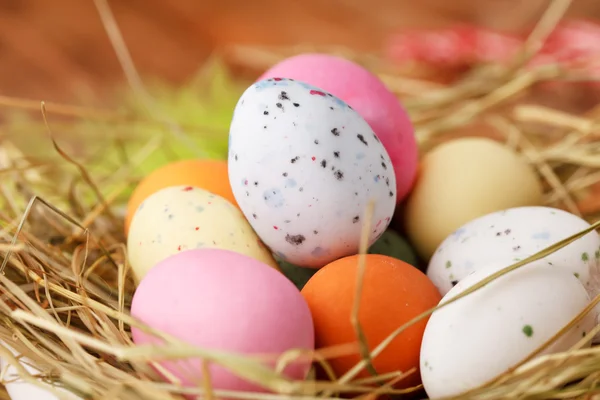 Wielkanocne jaja ptasie gniazdo — Zdjęcie stockowe