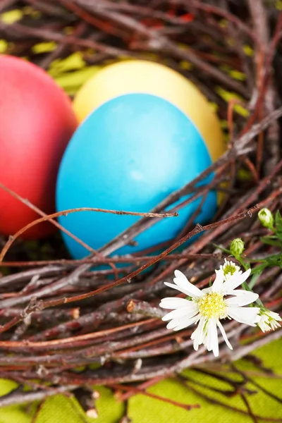 Huevos de Pascua en un nido —  Fotos de Stock
