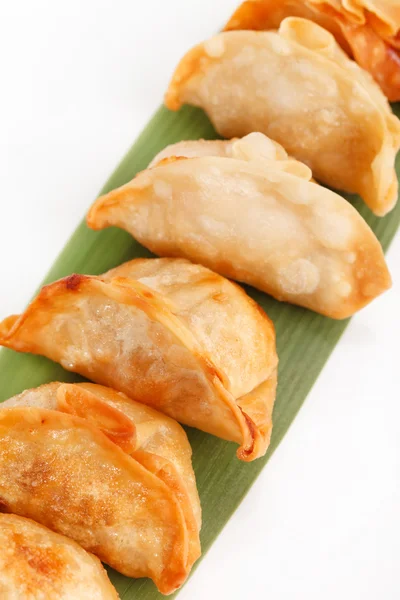 Plate of potstickers — Stock Photo, Image