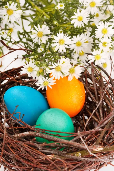 Πασχαλινά αυγά σε φωλιά — Φωτογραφία Αρχείου