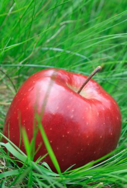 manzana roja tumbado en la hierba