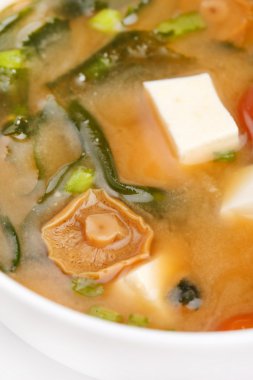 Miso soup clipart