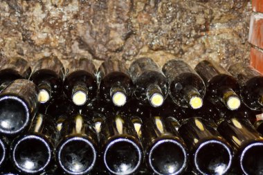 Bottles of wine in rows in wine cellar