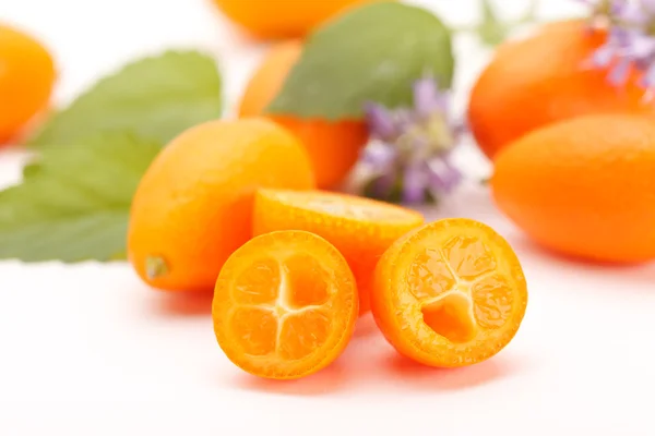 Fersk kumquat – stockfoto