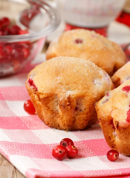 Muffin ai mirtilli rossi — Foto Stock