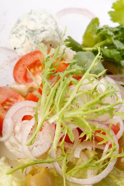 Finom salátával-túrós — Stock Fotó