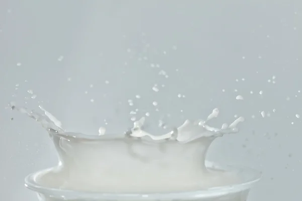 Выплеск в стакане молока — стоковое фото