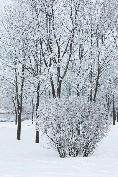 눈 속의 겨울 공원 — 스톡 사진