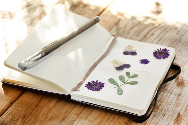 Notebook üzerinde kuru bitkiler — Stok fotoğraf