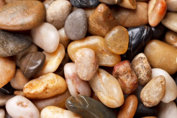 Pozadí s kulatým Peebleová kameny — Stock fotografie