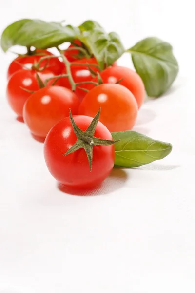 Fresh tomatoes and basil — Stock Photo, Image