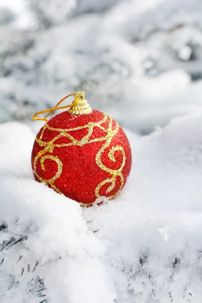 Bola de Navidad en el abeto — Foto de Stock
