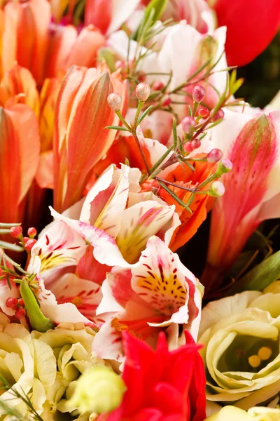 Bunga yang indah di keranjang — Stok Foto