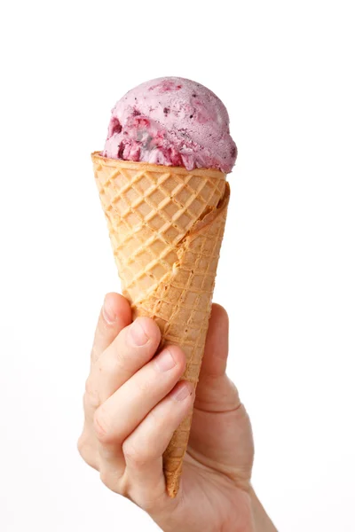 베리 아이스크림 — 스톡 사진