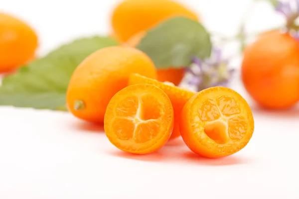 Fresh kumquat — Stock fotografie