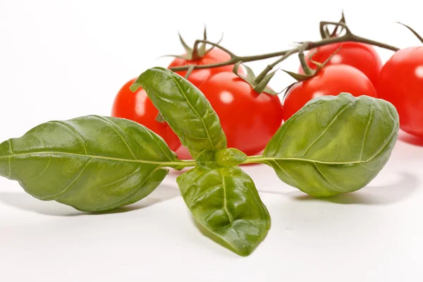 Tomates y albahaca —  Fotos de Stock