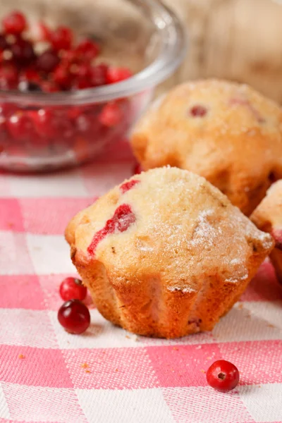 stock image Cranberry muffins