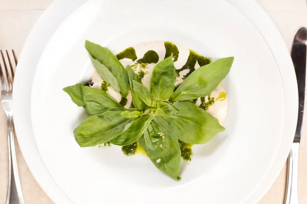 Salad with basil — Stock Photo, Image