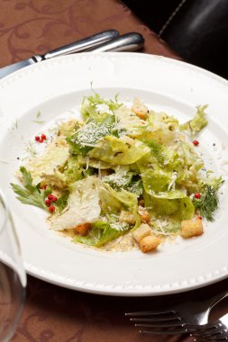 croutons sebze salatası