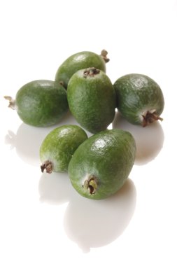 taze feijoa