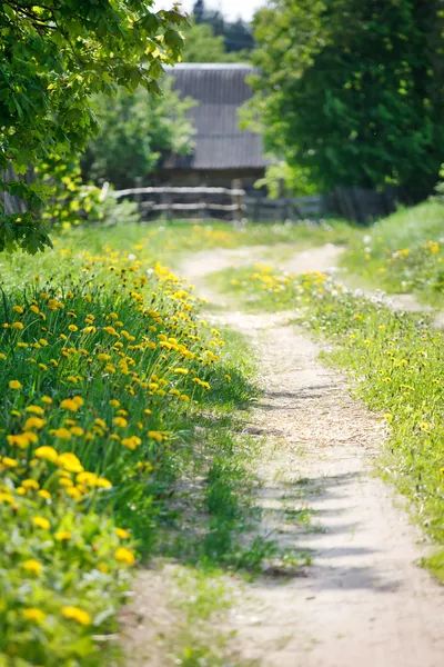 Paesaggio estivo — Foto Stock