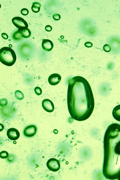 Textura das células virais — Fotografia de Stock