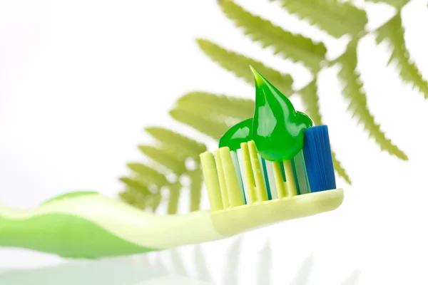 Herbal toothpaste — Stock Photo, Image