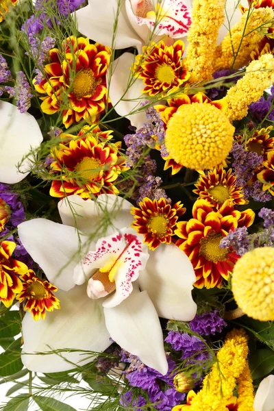 Vackra blommor i korgen — Stockfoto