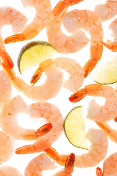 Shrimps auf dem weißen — Stockfoto