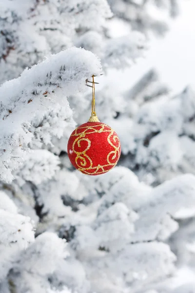 Kerstmis bal op de spar — Stockfoto