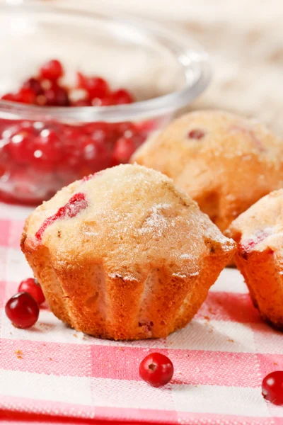 Muffins de arando — Fotografia de Stock