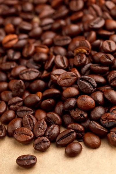 Kávová zrna na pergamen — Stock fotografie