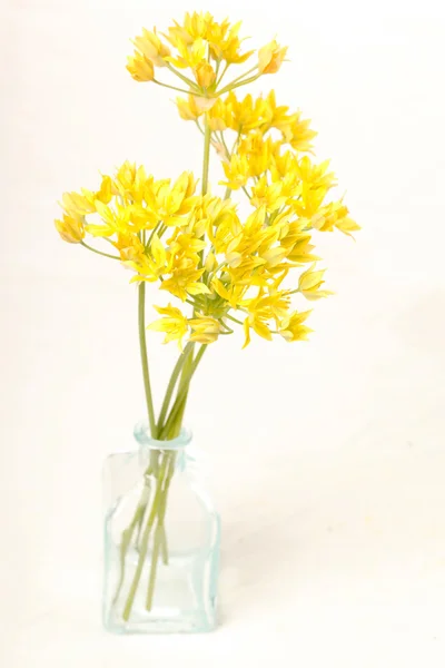 stock image Yellow flowers in the vase