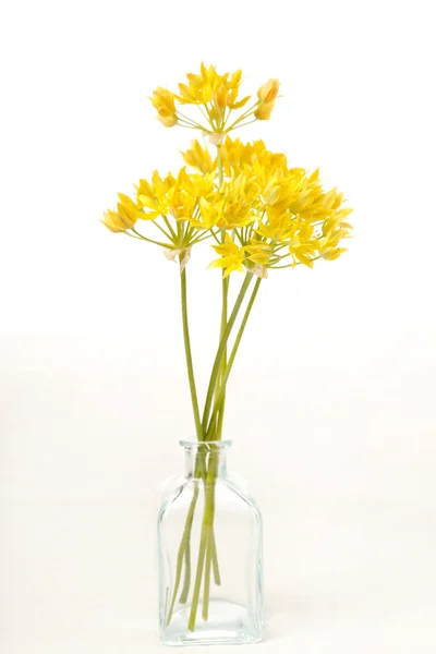Yellow flowers in the vase — Stock Photo, Image