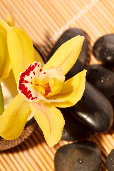 stock image Therapy stones and orchid flower